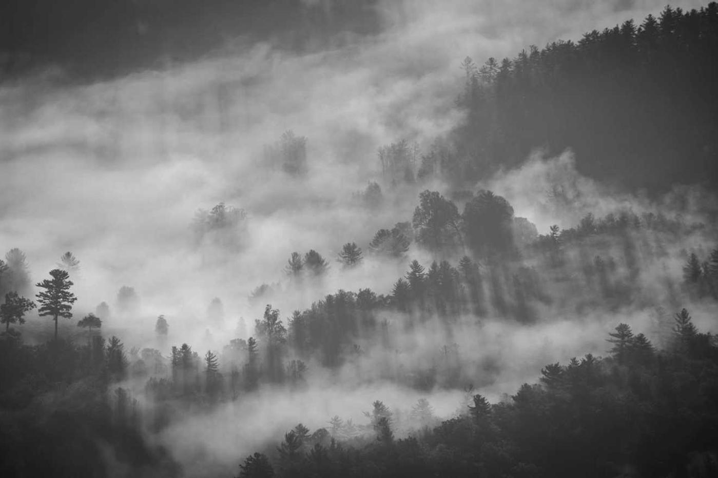 Quia facere vel dolor adipisci