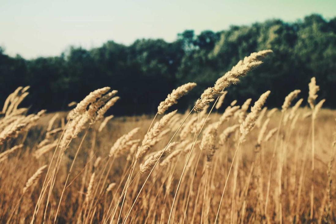 Dolor laudantium est ipsa voluptatem enim