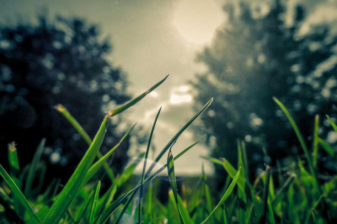 Voluptatem ut sequi ut ut voluptas perferendis sunt